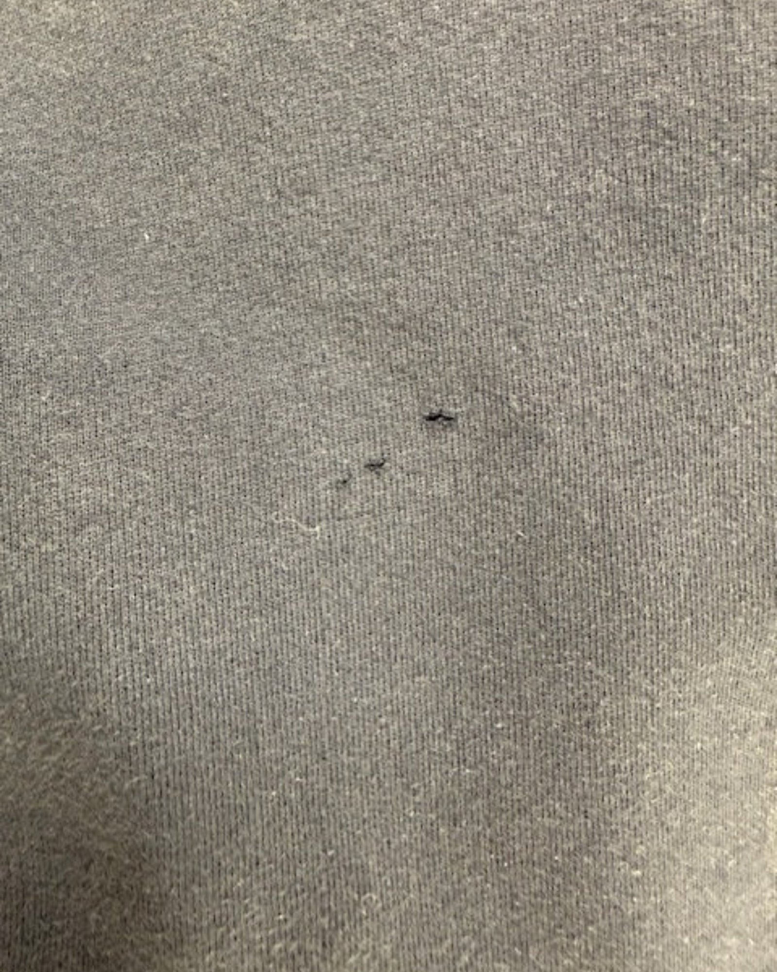 ELON COLLEGE SWEATSHIRT